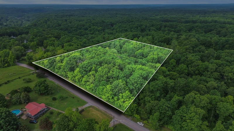 1 Shoals Branch Rd, Primm Springs, TN 38476