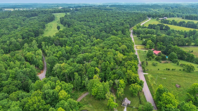 1 Shoals Branch Rd, Primm Springs, TN 38476