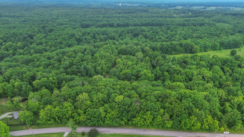 1 Shoals Branch Rd, Primm Springs, TN 38476