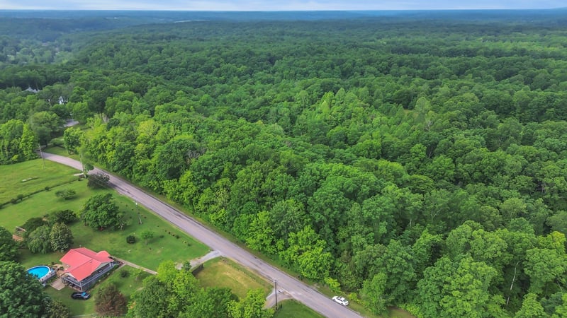 1 Shoals Branch Rd, Primm Springs, TN 38476