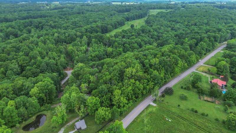 1 Shoals Branch Rd, Primm Springs, TN 38476