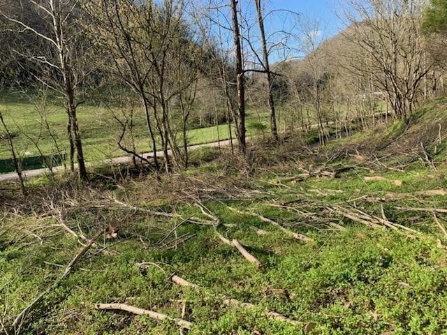 662 Wilmore Hollow Rd, Pleasant Shade, TN 37145