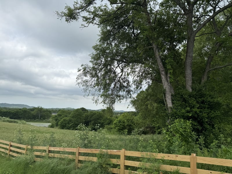 1024 Peak Dr, Castalian Springs, TN 37031