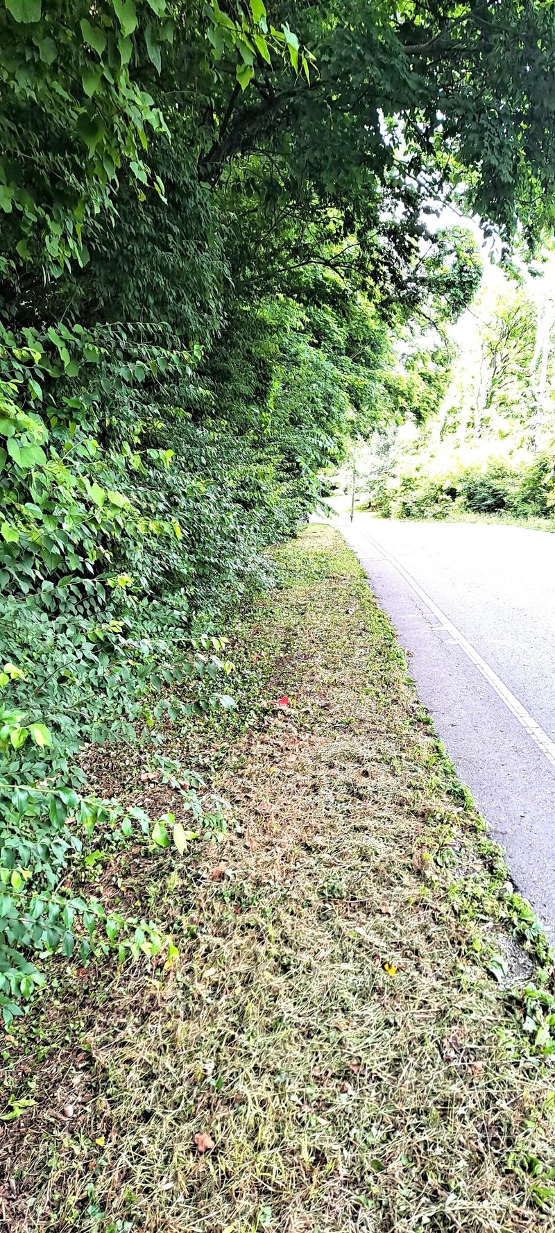 Sawyer Brown Rd, Nashville, TN 37221