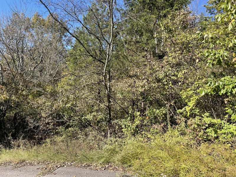 0 Due West Ave N, Madison, TN 37115