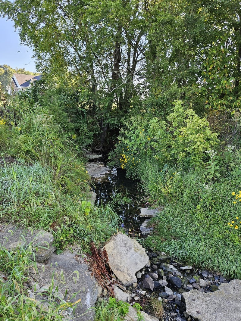 536 Martin Chapel Rd, Portland, TN 37148