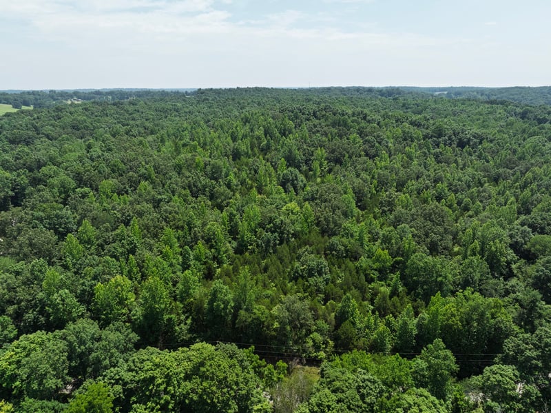 0 Batson Rd, Cumberland Furnace, TN 37051