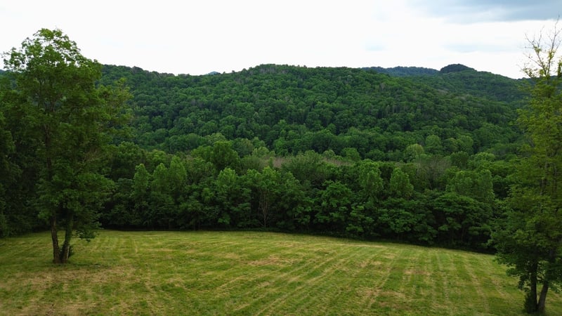 1291 Johnson Hollow Rd, Watertown, TN 37184