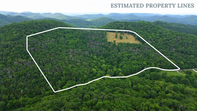 1291 Johnson Hollow Rd, Watertown, TN 37184