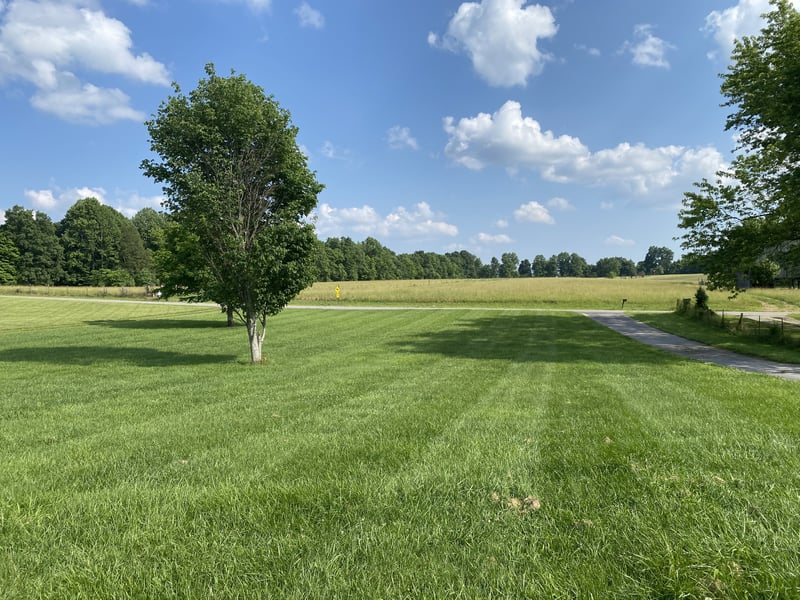 417 Buttermilk Hollow Rd, Bethpage, TN 37022