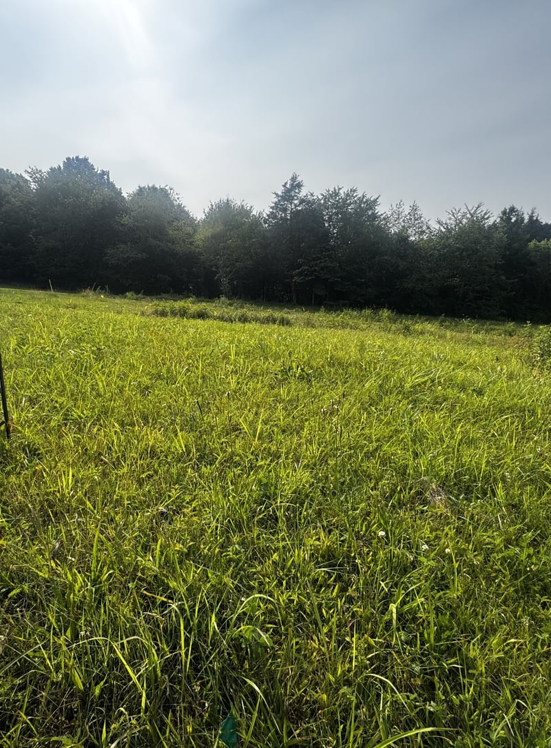 4050 Summit Dr, Greenbrier, TN 37073