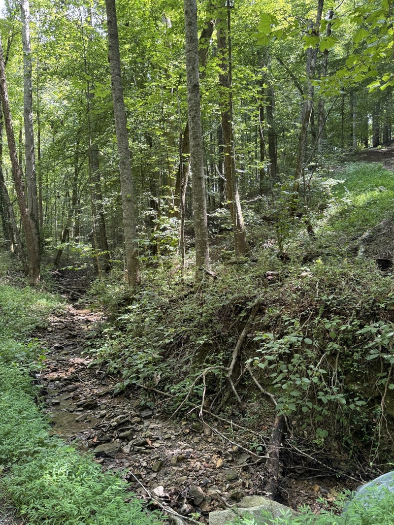 0 Albert Fentress Rd, Greenbrier, TN 37073