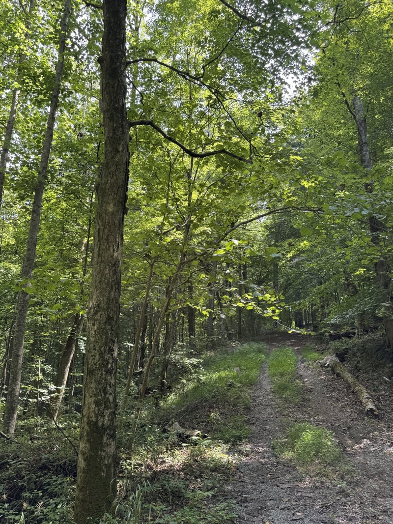 0 Albert Fentress Rd, Greenbrier, TN 37073