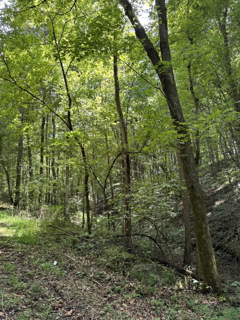 0 Albert Fentress Rd, Greenbrier, TN 37073