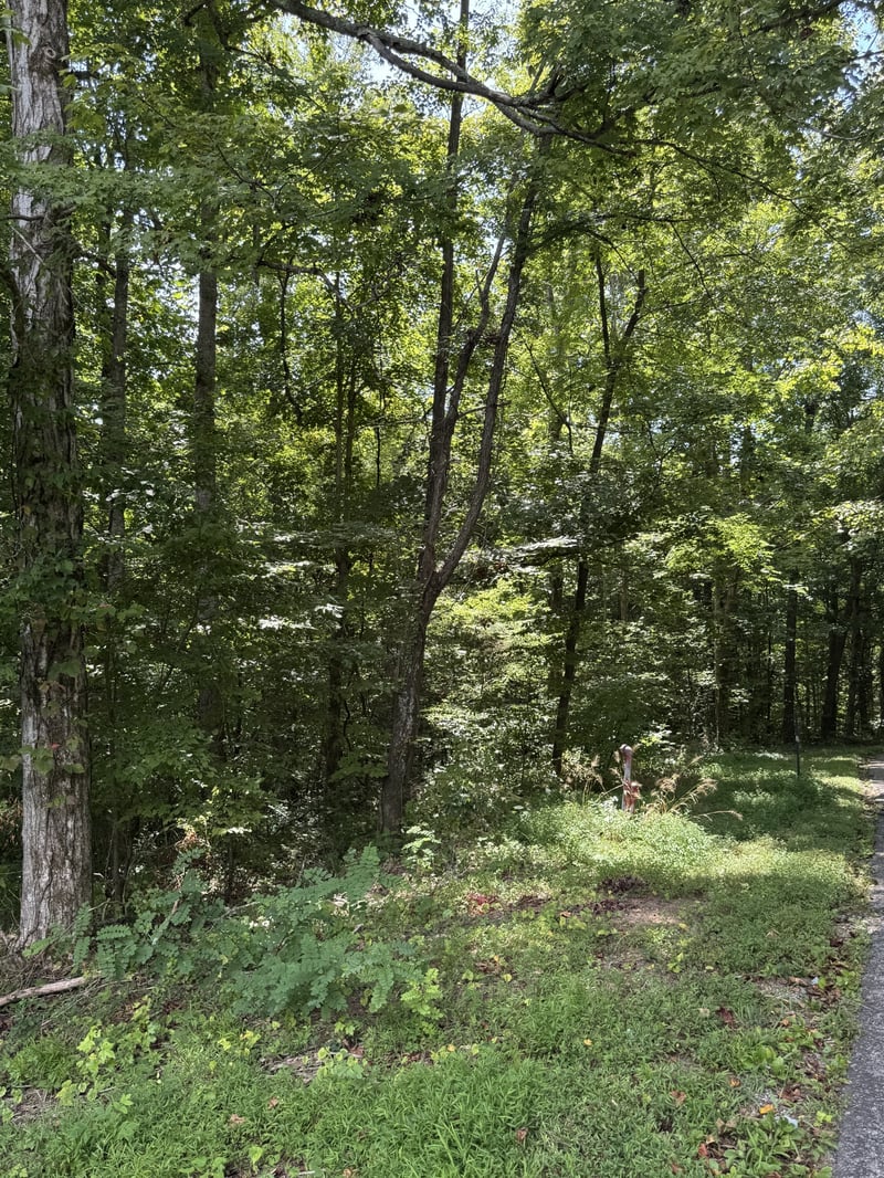 0 Albert Fentress Rd, Greenbrier, TN 37073