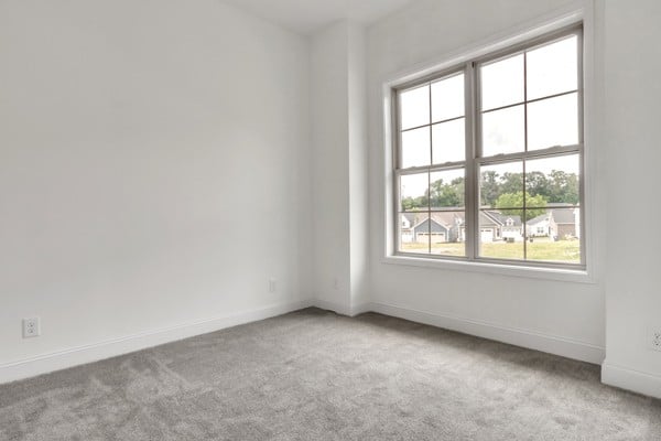 191 Charleston Ave, Pleasant View, TN 37146