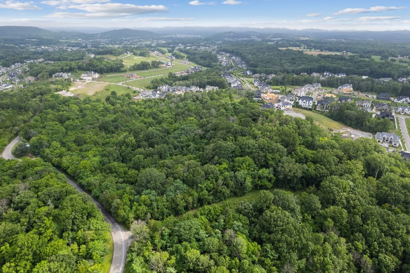 6417 Locust Ridge Rd, College Grove, TN 37046