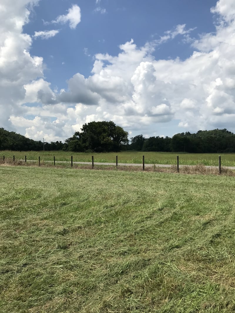 0 Happy Valley Rd, Bell Buckle, TN 37020