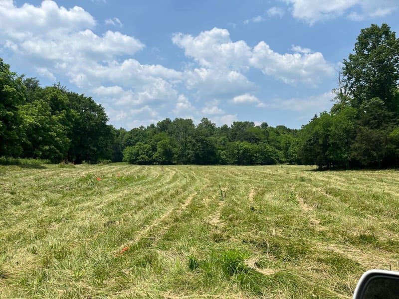 0 Brush Creek, Brush Creek, TN 38547