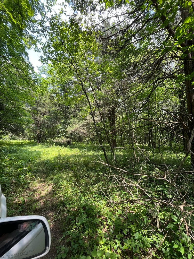 0 Brush Creek, Brush Creek, TN 38547