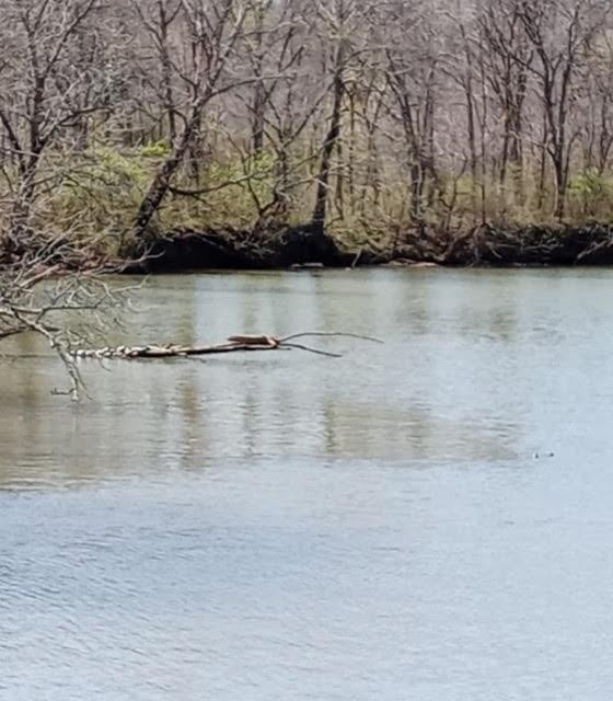 1341 Chapmansboro Rd, Chapmansboro, TN 37035