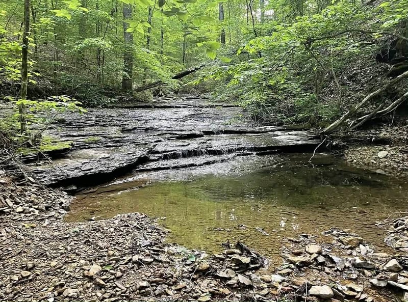 1013 Valencia Ct, Ashland City, TN 37015