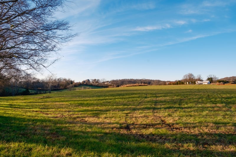 0 Blythe Meadow Ln, Arrington, TN 37014