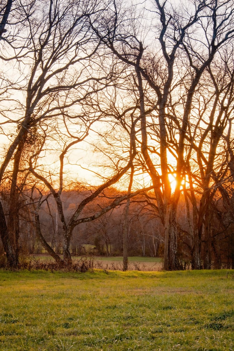 0 Blythe Meadow Ln, Arrington, TN 37014