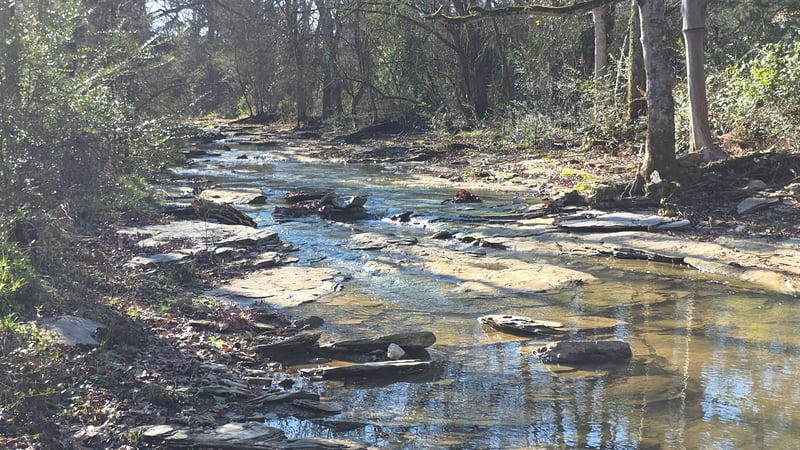 3931 Taylors Store Rd, Hampshire, TN 38461