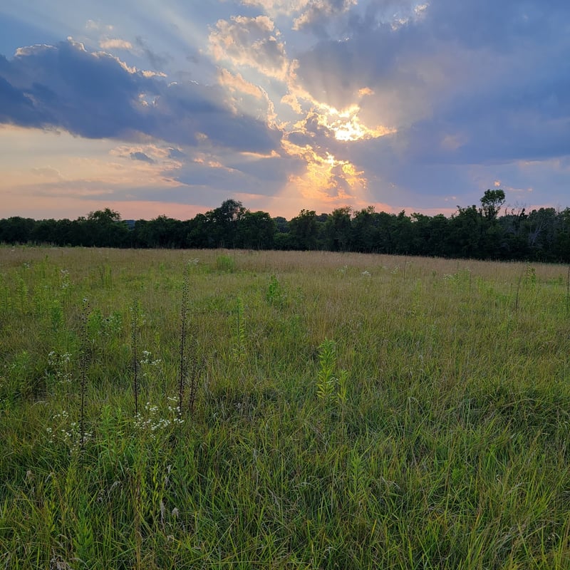 0 Red River School Rd, Portland, TN 37148