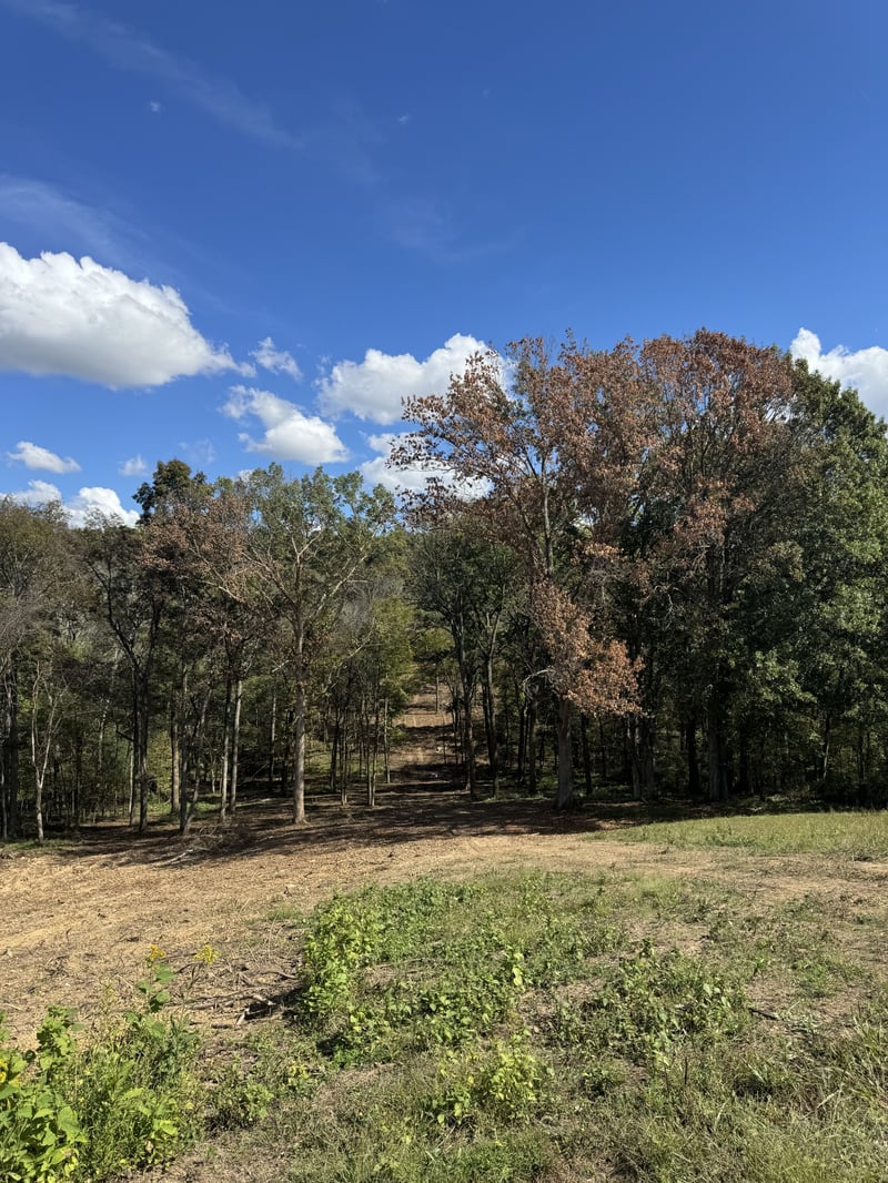 0 Palmer Rd, Lebanon, TN 37087