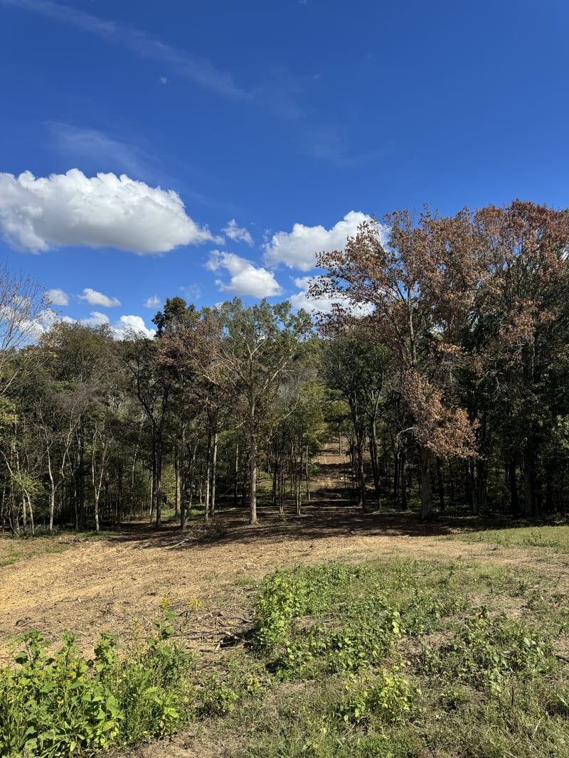 0 Palmer Rd, Lebanon, TN 37087