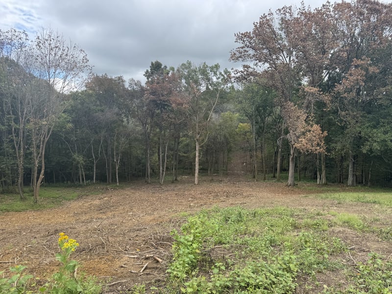 0 Palmer Rd, Lebanon, TN 37087