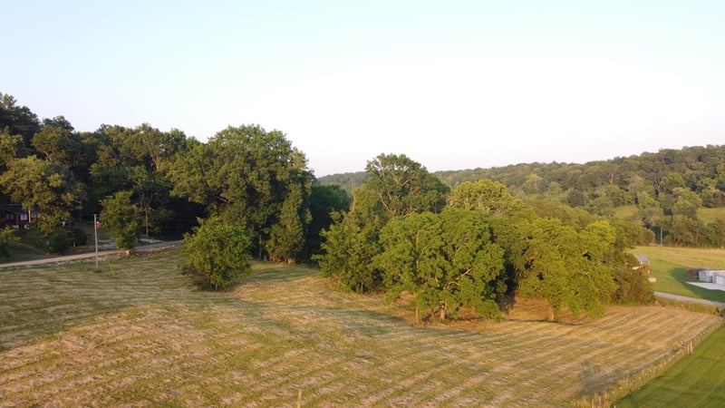 0 Bradford Hill Rd, Brush Creek, TN 38547