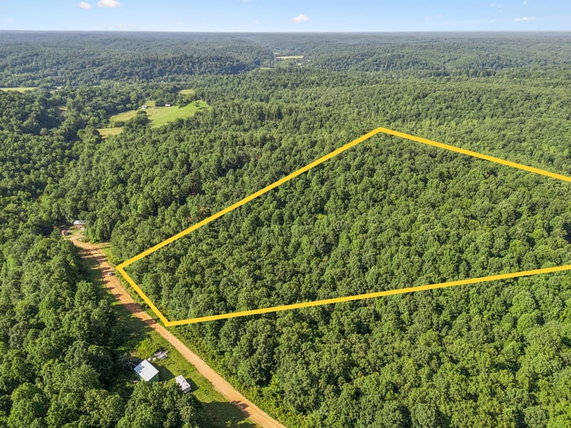 220 Ellies Rn, Mount Pleasant, TN 38474