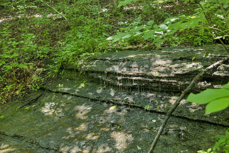 5723 Quest Ridge Rd, Franklin, TN 37064