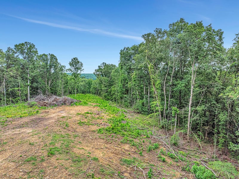 Grindstone Hl, Dickson, TN 37055