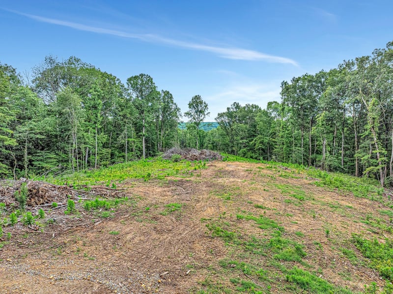 Grindstone Hl, Dickson, TN 37055