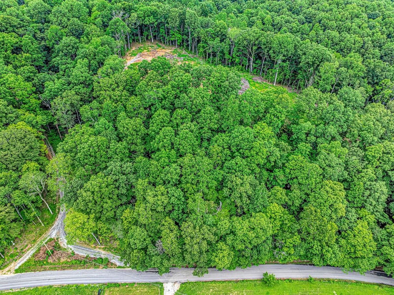 Grindstone Hl, Dickson, TN 37055