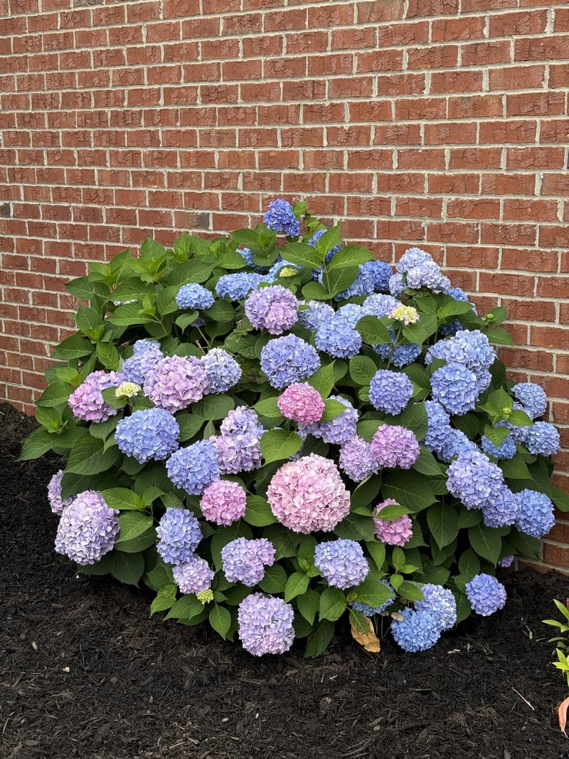 104 Camden Ct, Hendersonville, TN 37075