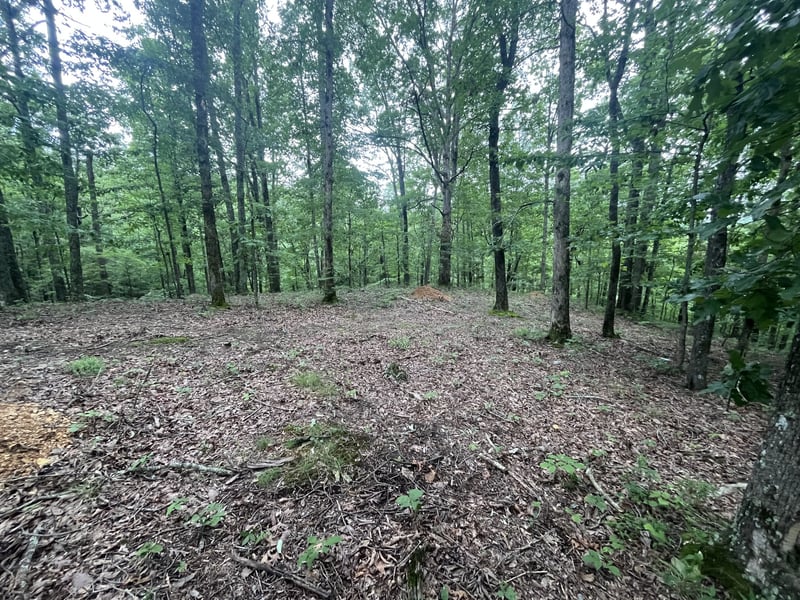New Lawrenceburg Hwy, Mount Pleasant, TN 38474