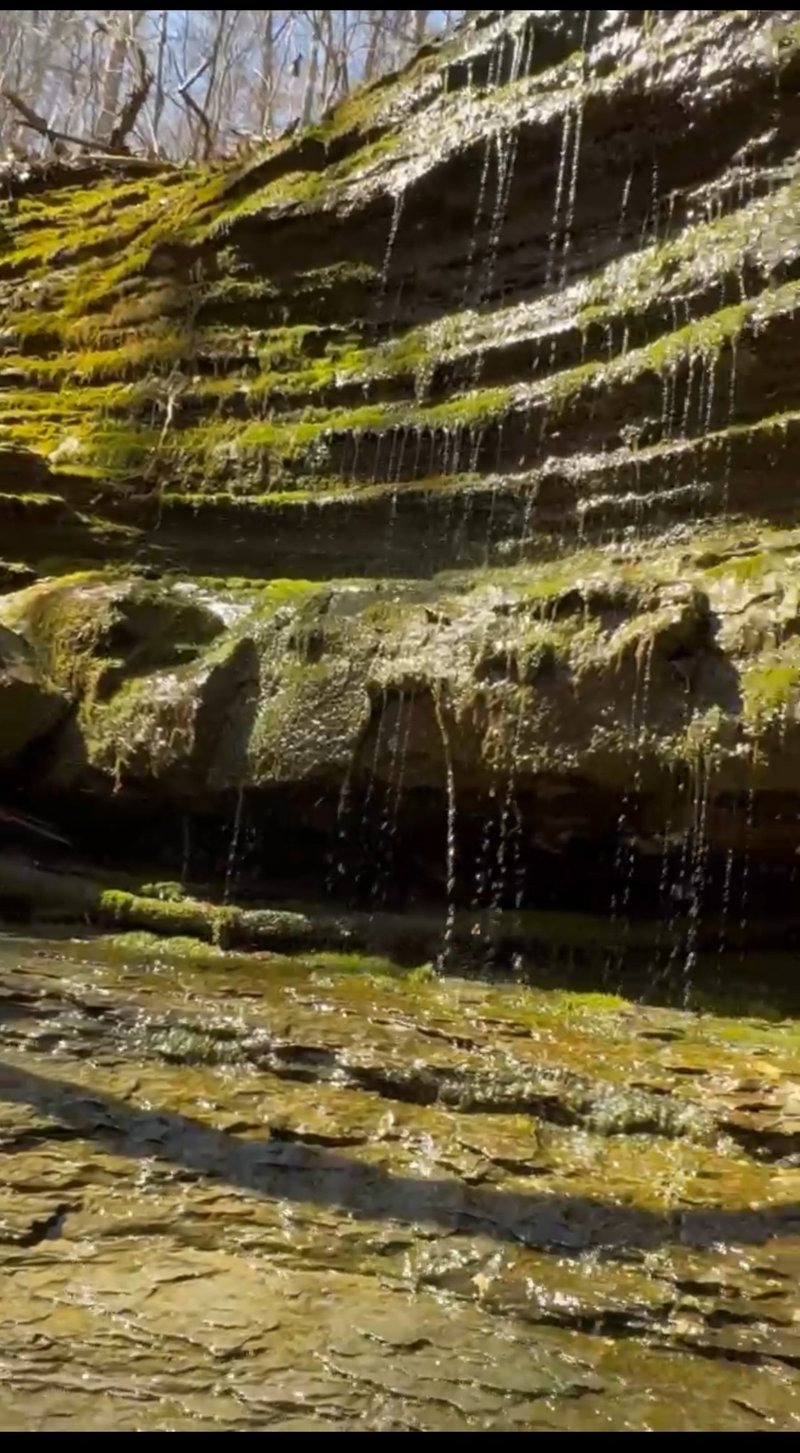 0 Simmons Ct, Ashland City, TN 37015