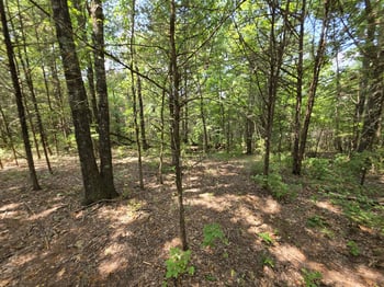 Old Hickory Blvd, Nashville, TN 37207