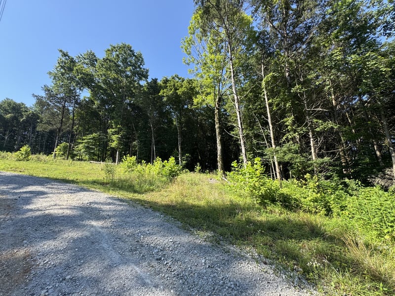 2950 Highway 13 , Cumberland Furnace, TN 37051