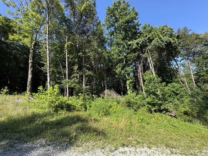 2950 Highway 13 , Cumberland Furnace, TN 37051