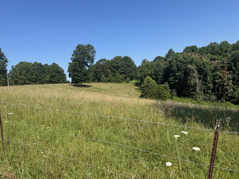 0 Pack Rd, White Bluff, TN 37187