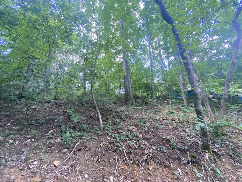 5032 Ridge Hill Dr, Joelton, TN 37080