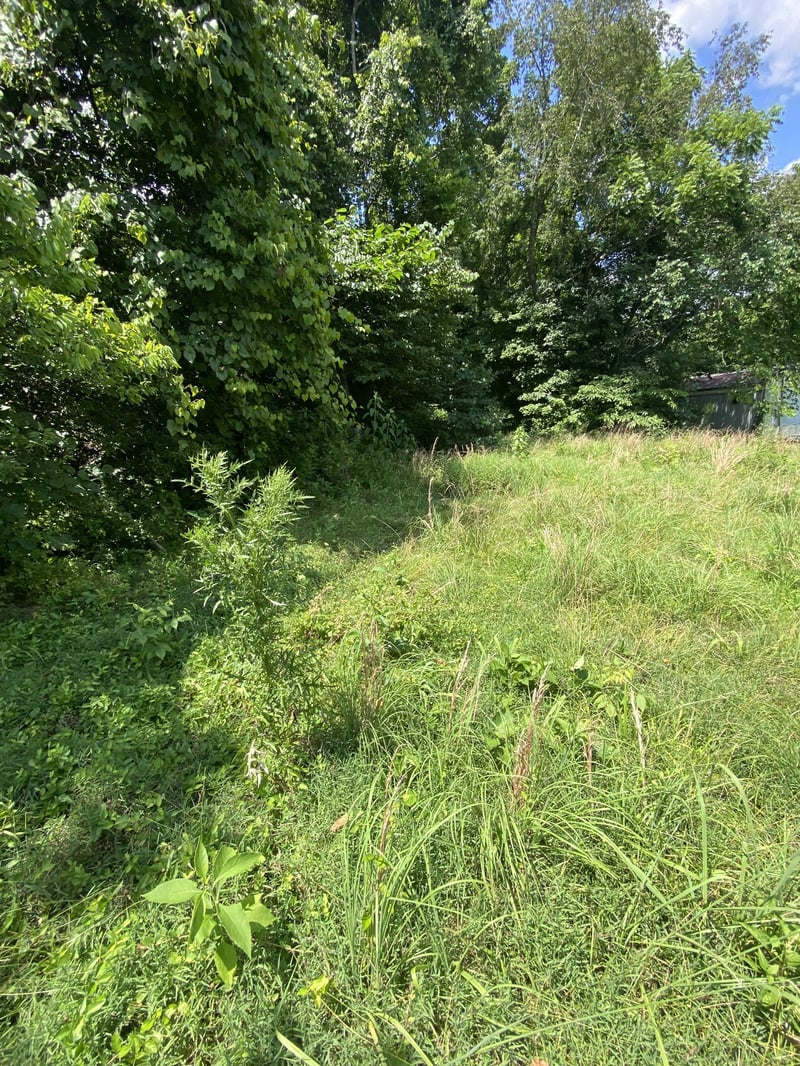 1005 Highpoint Ln, Chapmansboro, TN 37035