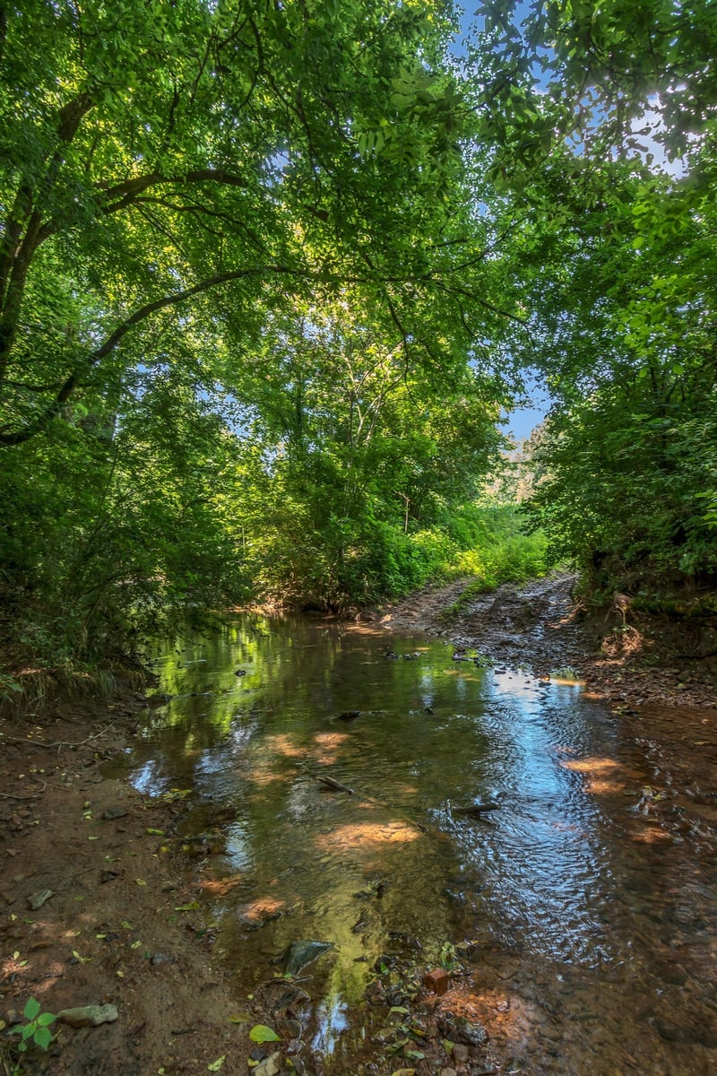 3349 Sweeney Hollow Rd, Franklin, TN 37064