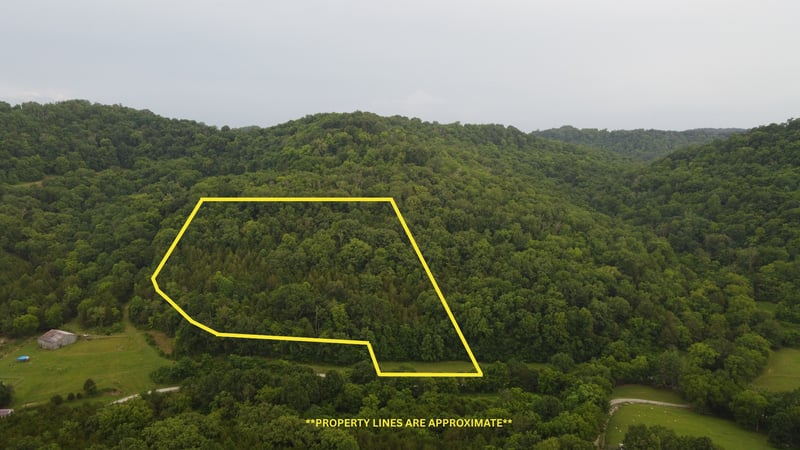 0 Hackett Hollow Ln, Pleasant Shade, TN 37145